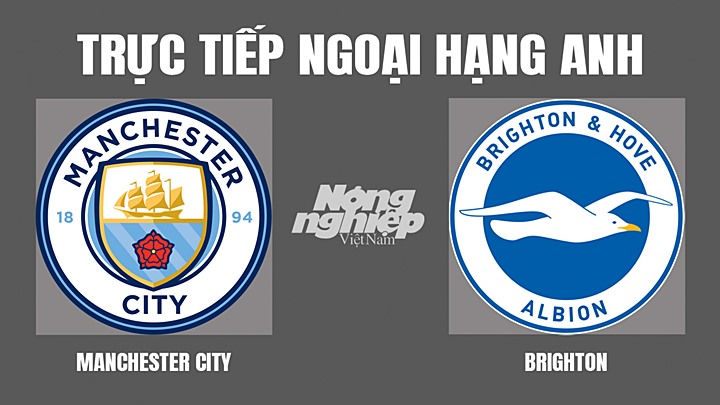 Trực tiếp bóng đá Ngoại hạng Anh giữa Man City vs Brighton hôm nay 21/4/2022