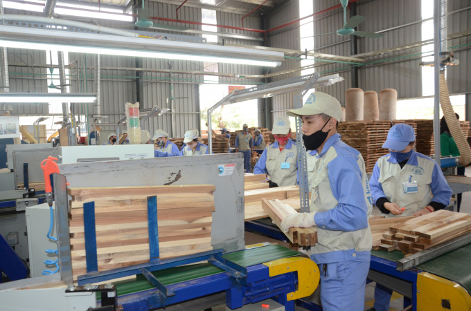 Wood and wooden products are occupying the No. 1 export position of agricultural and forestry products of Tuyen Quang province. Photo: Dao Thanh.