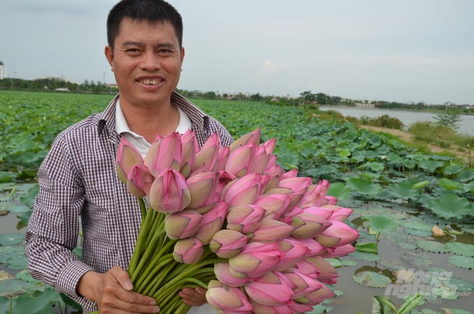 The joy of the lotus pond owner. Photo: Duong Dinh Tuong.