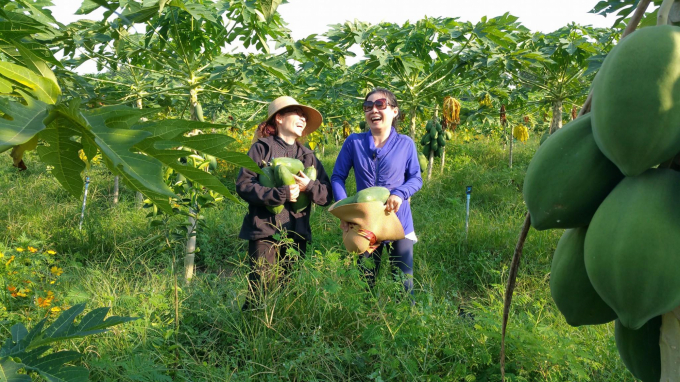 From a barren land, after 5 years, Bui Thai Son has covered Nature farm with a green color full of life.