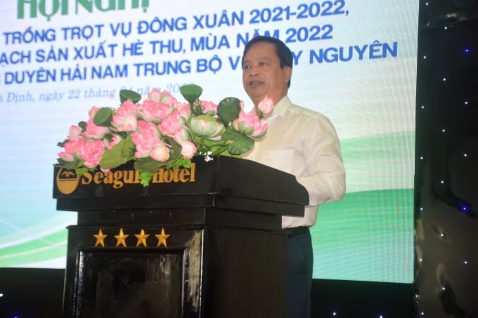 Ông Nguyễn Tuấn Thanh, Phó Chủ tịch UBND tỉnh Bình Định, phát biểu tại hội nghị. Ảnh: Lê Khánh.