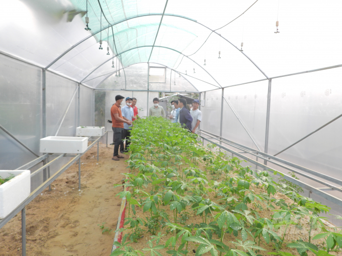 Propagation model by membrane house method in Tay Ninh. Photo: Tran Trung.
