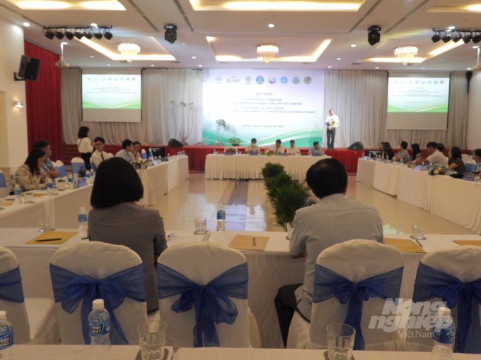 A workshop on solutions to disease treatment and sustainable development of cassava is co-organised by the Tay Ninh Province People’s Committee and CIAT on April 22. Photo: Tran Trung.
