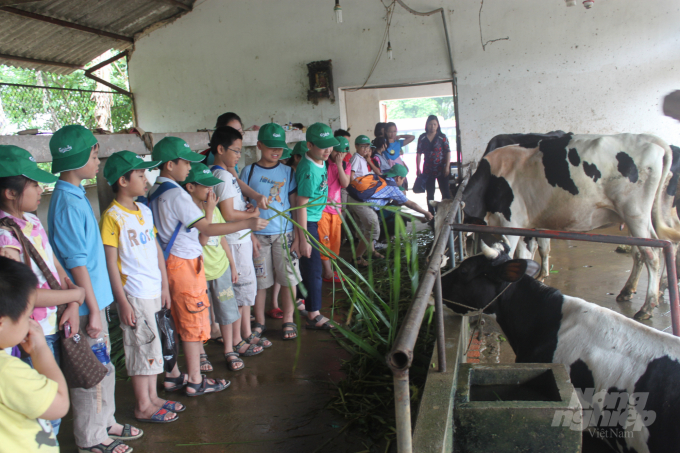 Cow feeding experience. Photo: Documentation.