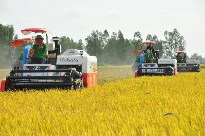 The Mekong Delta is a key rice production area of ​​the country, with a total of about 3.9 - 4 million ha/year giving an output of 24 million tons of rice/year.