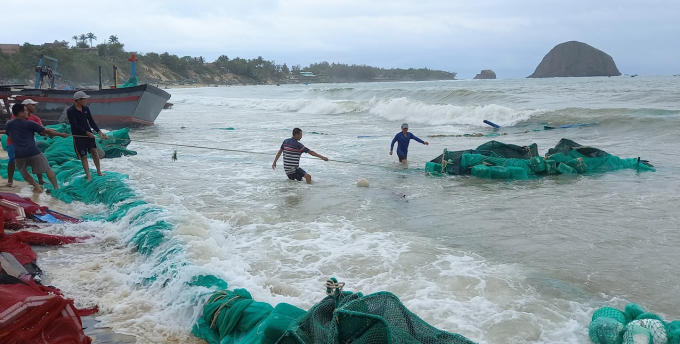 Đợt mưa gió bất thường cuối tháng 3 vừa qua, nhiều lồng bè nuôi thủy sản ở Phú Yên bị thiệt hại. Ảnh: MH.