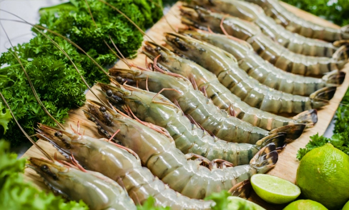 Black tiger shrimp export to the EU increased by 107% in the first quarter. Photo: TL.