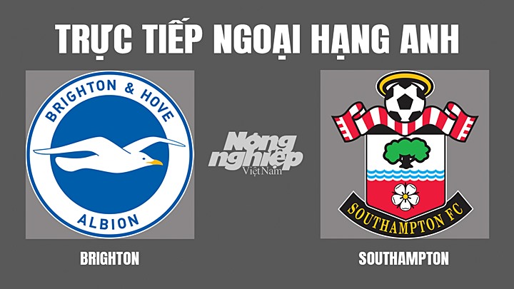 Trực tiếp bóng đá Ngoại hạng Anh giữa Brighton vs Southampton hôm nay 24/4/2022