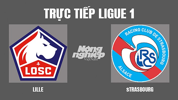 Trực tiếp bóng đá Ligue 1 giữa Lille vs Strasbourg hôm nay 24/4/2022