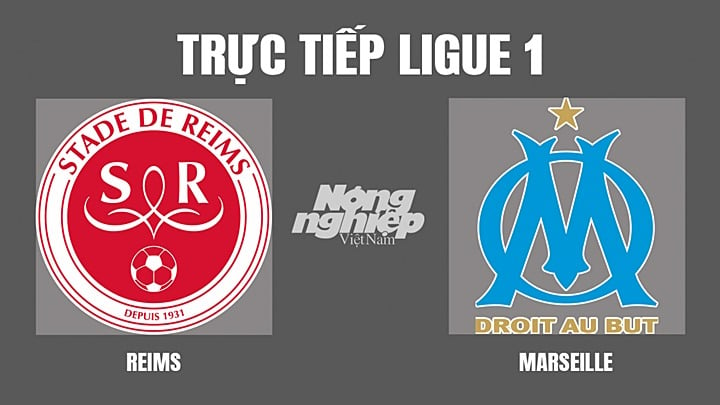 Trực tiếp bóng đá Ligue 1 giữa Reims vs Marseille hôm nay 25/4/2022