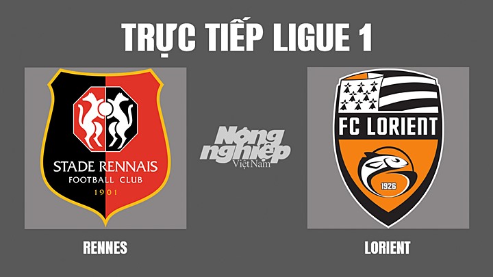 Trực tiếp bóng đá Ligue 1 giữa Rennes vs Lorient hôm nay 24/4/2022