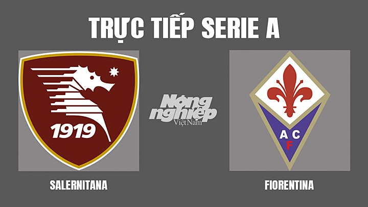 Trực tiếp bóng đá Serie A mùa giải 2021/2022 giữa Salernitana vs Fiorentina hôm nay 24/4