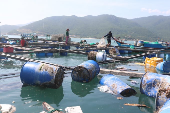The devastating scene of marine farming cages of Khanh Hoa farmers, billions of dong invested lost in an instant after the hurricane. Photo: KS.