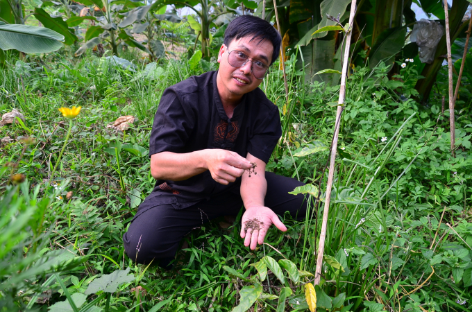 Checking the humus of the soil. Photo: Duong Dinh Tuong