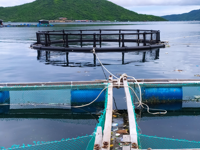 Models of HDPE cage and traditional wooden cage. Photo: KS.