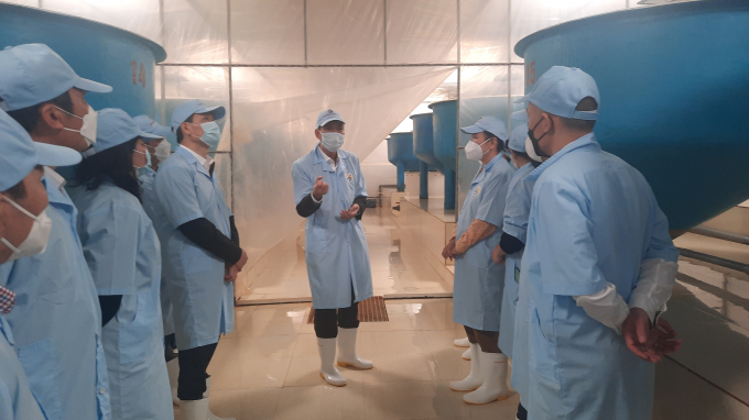 Công ty TNHH Việt Úc Quảng Ninh sẵn sàng hỗ trợ người nuôi tôm trong việc xét nghiệm, kiểm tra mầm bệnh. Ảnh: Nguyễn Thành