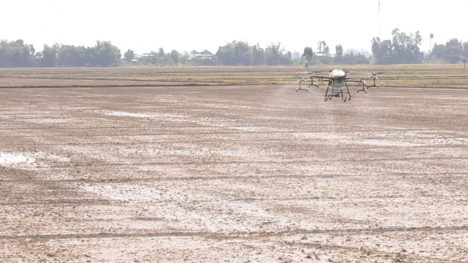 The scope, scale and capacity of the flying drones in spraying pesticides are getting expansive. Photo: Trong Trung.