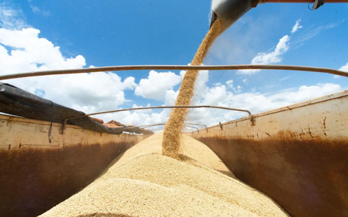 The cost to export soybeans this season has exceeded Cargill’s estimates for freight rates by at least 25%, slashing margins, according to Paulo Sousa, who heads Cargill’s operations in the South American nation. Photo: Bloomberg