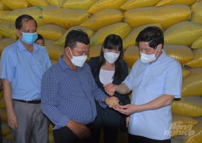 Deputy Minister Le Quoc Doanh (on the right) checked the stored rice waiting for the price at the warehouse invested by Project VnSAT at the Phuoc Loc Agricultural Cooperative. Photo: Trung Chanh.