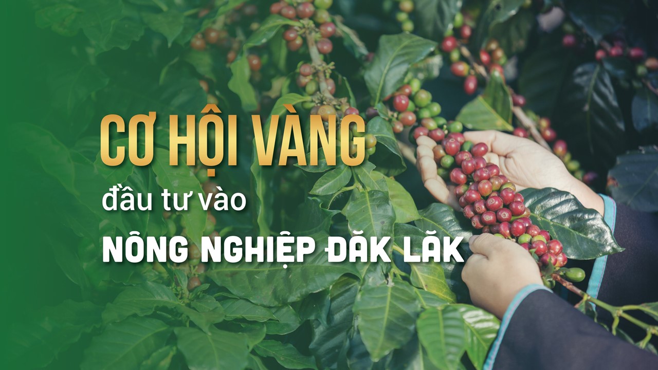 Nông nghiệp Đắk Lắk - Cơ hội vàng để doanh nghiệp trong và ngoài nước xúc tiến đầu tư