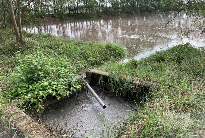 Nước thải sau khi xử lý qua bể biogas tại trang tại ông Đinh Thăng Long vẫn đặc quánh lớp phân lợn.