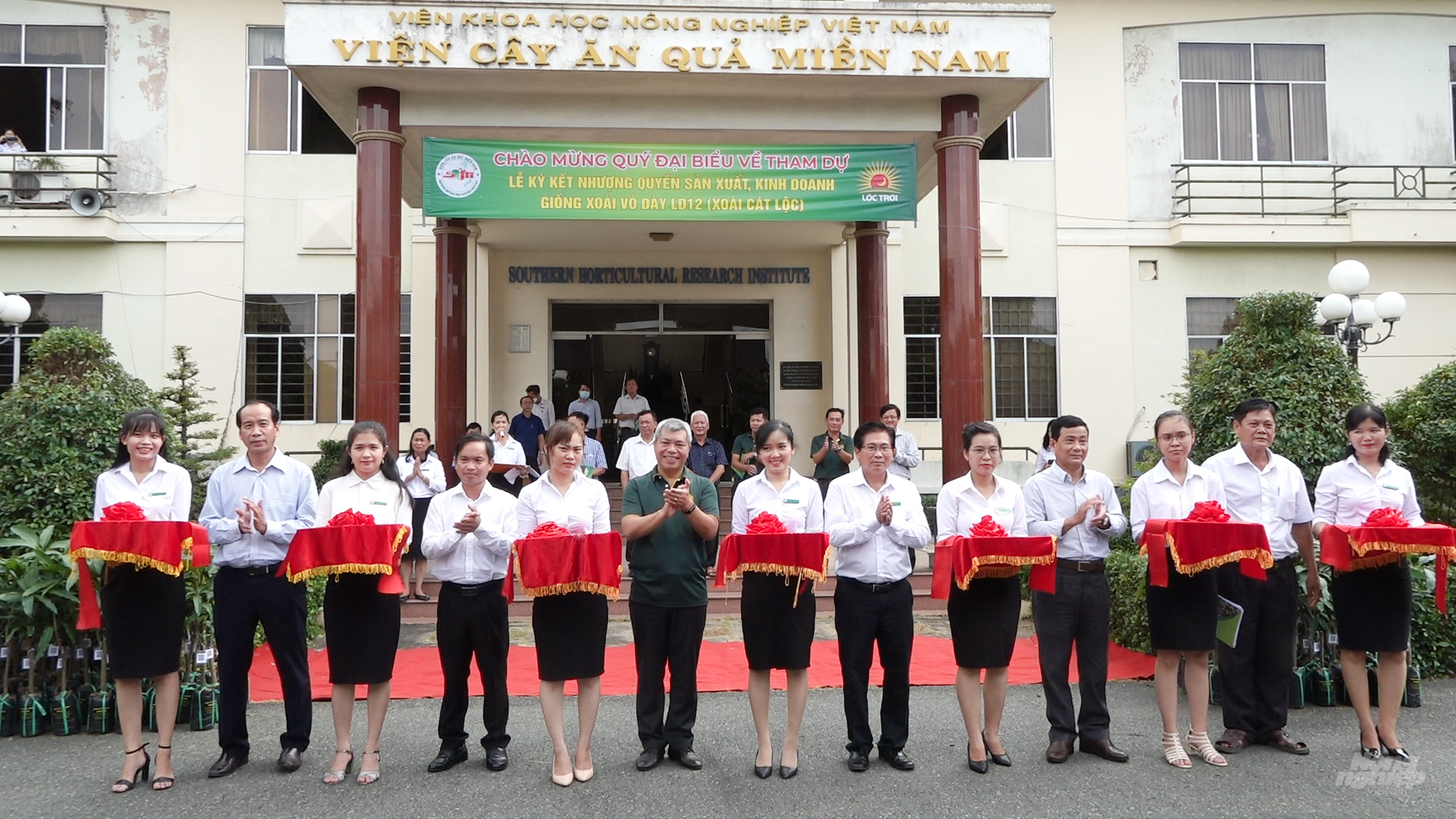 Lễ cắt băng chuyển giao lô giống xoài Cát Lộc đầu tiên cho Tập đoàn Lộc Trời. Ảnh: Minh Sáng.