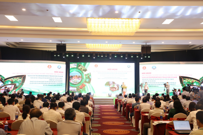 Many businesses at the conference are interested in the field of agriculture investment. Photo: Tuan Anh.