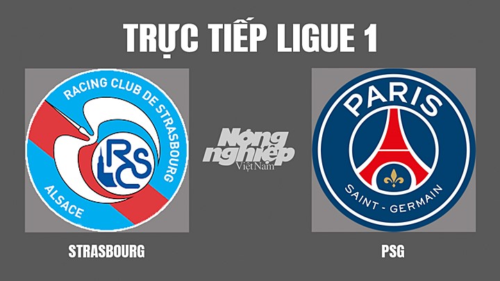 Trực tiếp bóng đá Ligue 1 giữa Strasbourg vs PSG hôm nay 30/4/2022