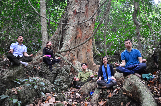 Our group experiencing forest bathing by meditating under an ancient ginkgo tree. Photo: MT.