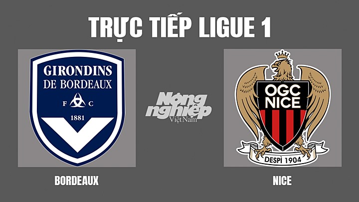 Trực tiếp bóng đá Ligue 1 giữa Bordeaux vs Nice hôm nay 1/5/2022