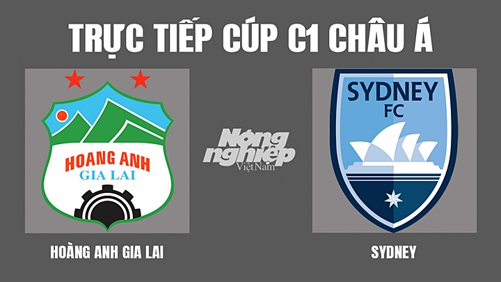 Trực tiếp bóng đá HAGL vs Sydney tại giải Cúp C1 Châu Á hôm nay 1/5
