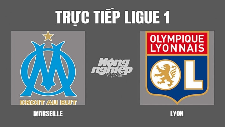 Trực tiếp bóng đá Ligue 1 giữa Marseille vs Lyon hôm nay 2/5/2022