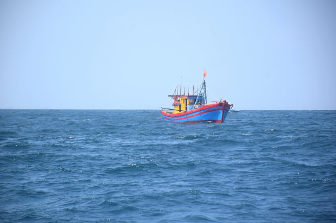 Tàu cá của ngư dân Bình Định hoạt động trên biển. Ảnh minh họa: V.Đ.T.