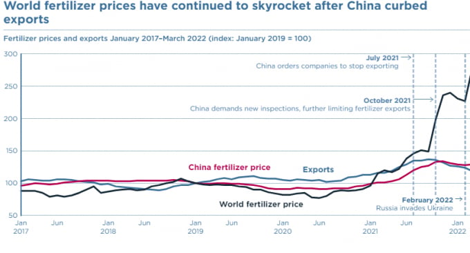 Mô hình dòng chảy phân bón thế giới (xanh nhạt); giá phân bón tại Trung Quốc (đỏ) và giá phân bón thế giới (xanh đen) từ tháng 1/2017 đến tháng 1/2022. Nguồn: Hải quan Trung Quốc; WB