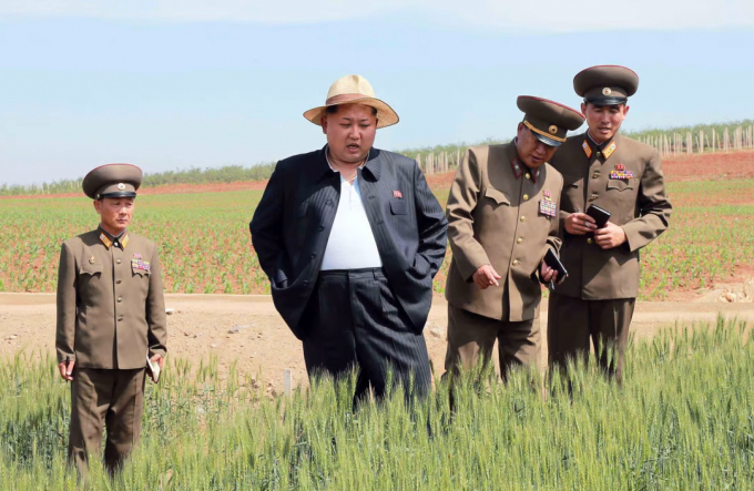 Nhà lãnh đạo Triều Tiên Kim Jong-un trong chuyến thị sát 'Trang trại số 1116' do quân đội quản lý tại một địa điểm không được tiết lộ vào tháng 6/2015. Ảnh: AFP/SCMP