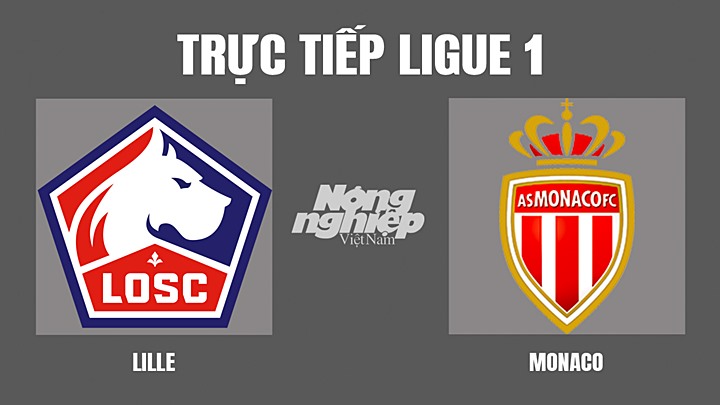 Trực tiếp bóng đá Ligue 1 giữa Lille vs Monaco hôm nay 7/5/2022