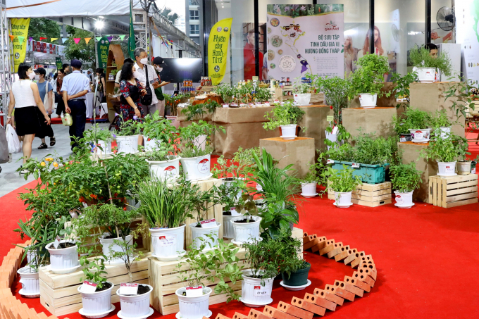 Rich spices and flavoring plants of Vietnam. Photo: Nguyen Thuy.