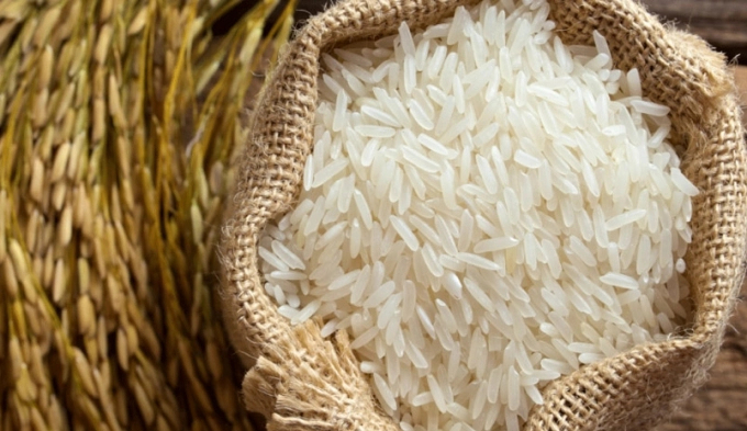 Malaysia has signed a contract to buy 700,000 tons of Vietnamese rice this year. Photo: TL.