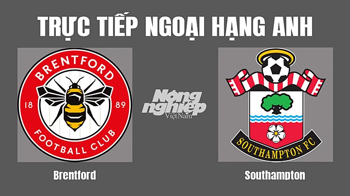 Trực tiếp bóng đá Ngoại hạng Anh giữa Brentford vs Southampton hôm nay 7/5/2022