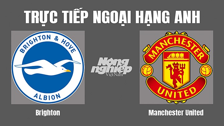 Trực tiếp bóng đá Ngoại hạng Anh giữa Brighton vs Man United hôm nay 7/5/2022