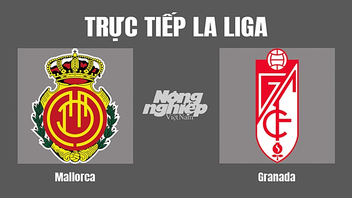 Trực tiếp bóng đá La Liga giữa Mallorca vs Granada hôm nay 7/5/2022