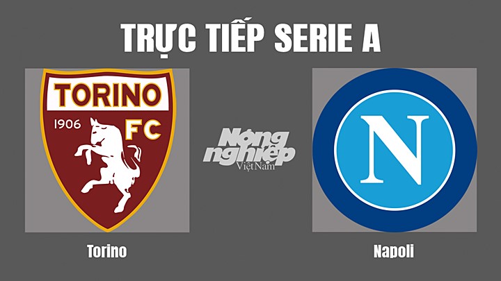 Trực tiếp bóng đá Serie A mùa giải 2021/2022 giữa Torino vs Napoli hôm nay 7/5