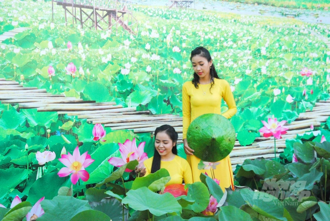 Dong Thap held the Lotus Festival from May 19 to 21, 2022 at Van Mieu Square, Cao Lanh City. Photo: Le Hoang Vu.