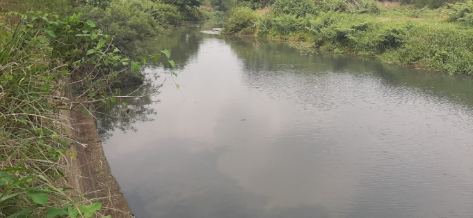 Khu vực chân cầu sông Giêng nguồn nước có màu đen. 