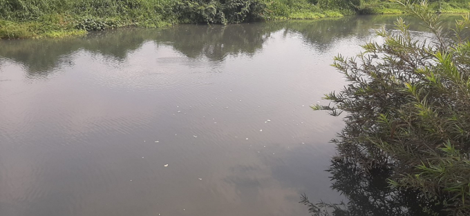 Người dân ở Tân Đức cho biết, nguồn nước ở khu vực này bị ô nhiễm, gây cá chết. 