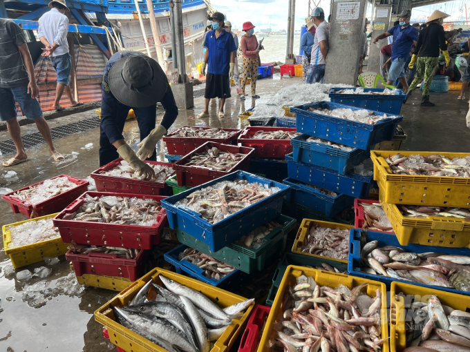 Seafood export value in the first 4 months of 2022 is estimated at USD 3.5 billion, up 43% over the same period in 2021, reaching nearly 40% of the 2022 plan. Photo: Trong Linh.