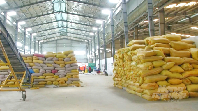 Được Dự án VnSAT đầu tư nhà kho với khả năng lưu trữ 1.000 tấn lúa, bà con xã viên HTX Khiết Tâm rất vui mừng, phấn khởi. Ảnh: Kim Anh.