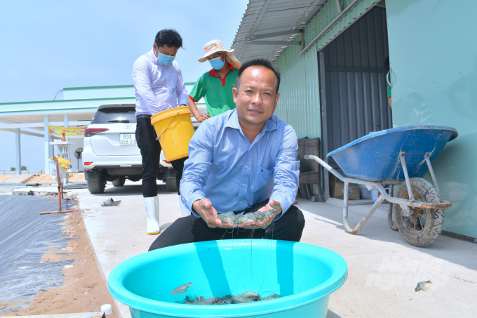 Mr. Ngo Minh Tuan checking the size of shrimps ready to be harvested. Photo: Minh Dam.