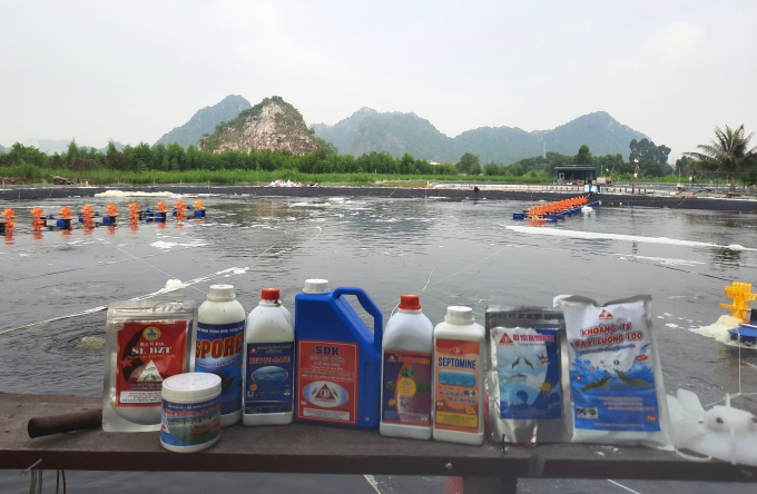 Truong Sinh herbal medicine is trusted by shrimp farmers in practice.