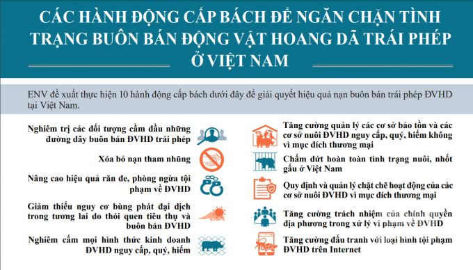 ENV đề xuất các hành động cấp bách để giải quyết hiệu quả nạn buôn bán trái phép động vật hoang dã.